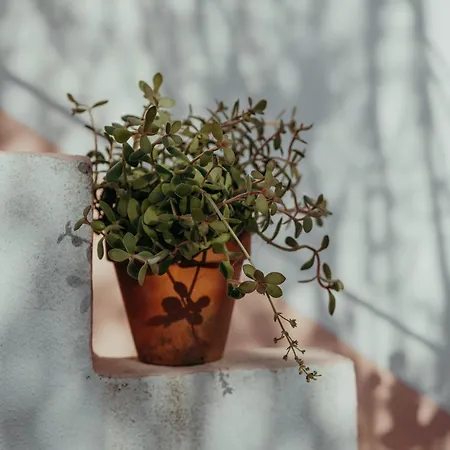 Ocean House Holiday home